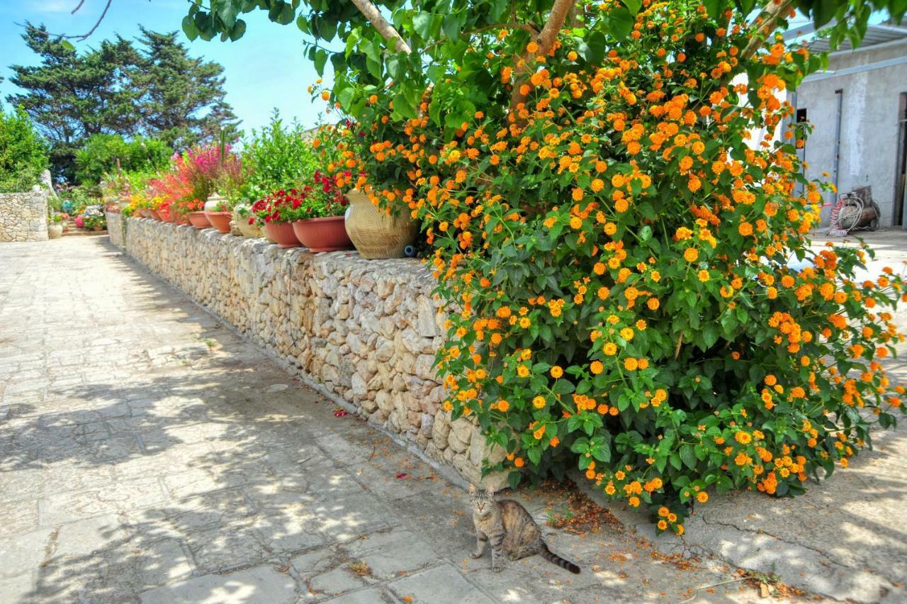 Residence Villa Grotta Monaca Οτράντο Εξωτερικό φωτογραφία